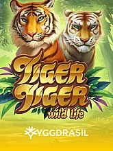 TIGER TIGER